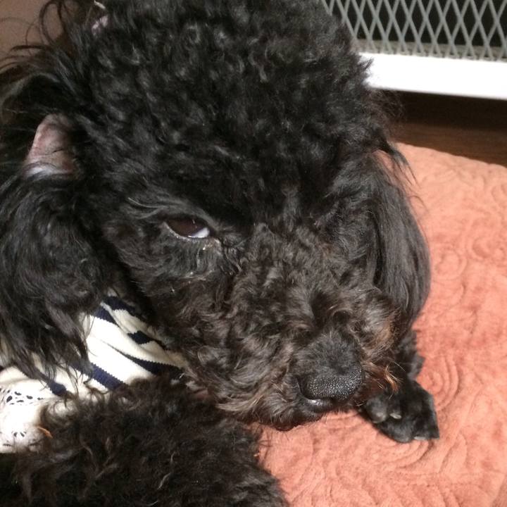 Afbb6429 614d 44c0 a848 abb42ad50aa0 1524287235485