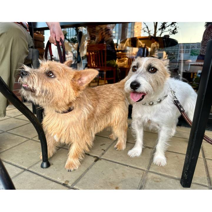 Afbb765b a6b9 4ab1 a401 500eea14aeba 1730733445290