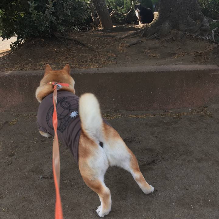 Afbb8540 5856 4234 b03a 0f33f263fd5c 1613218595579