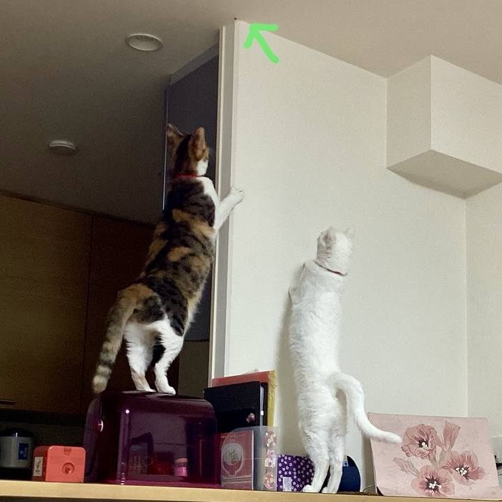 Afbba8b8 9670 4597 b587 fd07be608baf 1716052644627