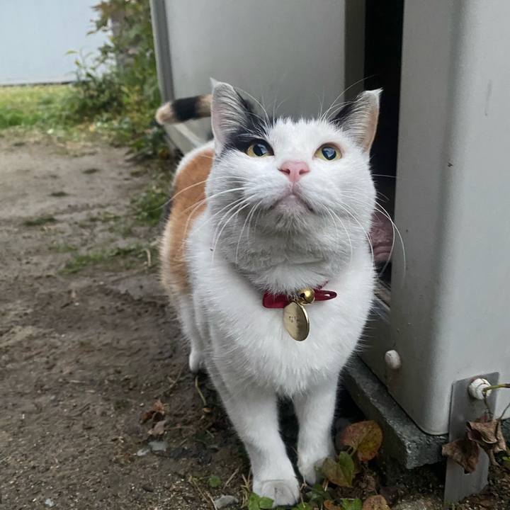 Afbbb8d0 2ffd 4c0a 8d37 a825115e7ea4 1638310456050