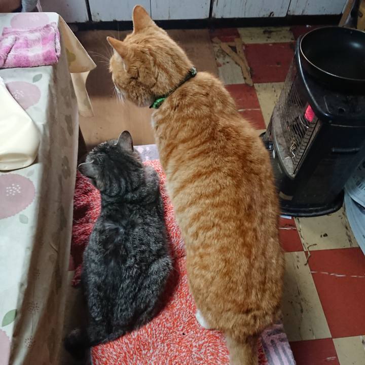 Afbbc88e cad3 4ac5 bc61 295e66598eb2 1584675569653