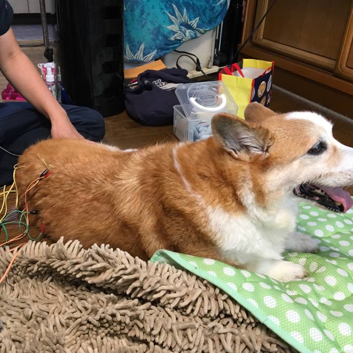 Afbbe678 46f5 43b2 a8e6 4614d195cfaf 1535346038032