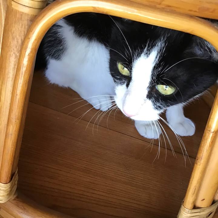 Afbbee98 89b7 4fe0 9670 09433e9a9387 1754396885609