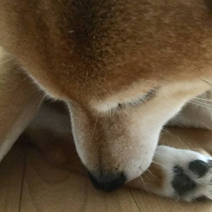 Afbc0267 dd1f 42d8 b857 3fd5149caac9 1589865601756