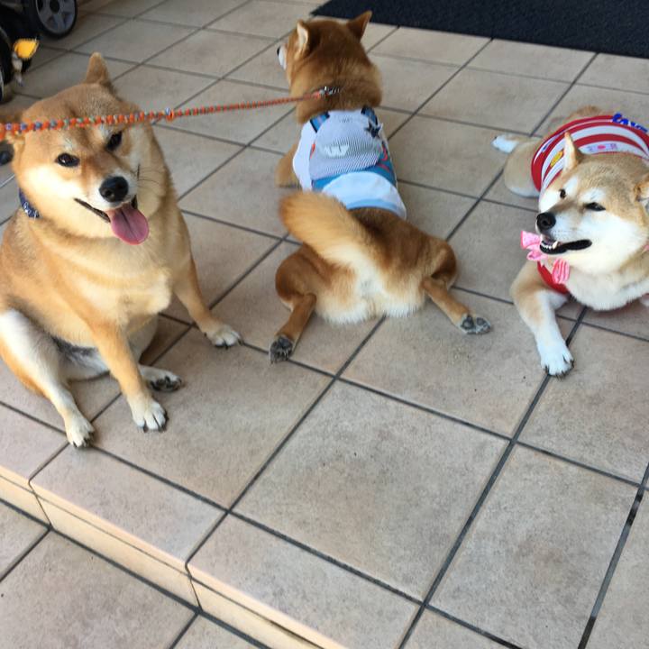 Afbc4eb1 4800 4567 88f8 b407aa24504c 1560676178912