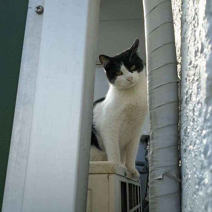 Afbc8fdb eb22 4de1 b066 f299e04c65b5 1557701778747