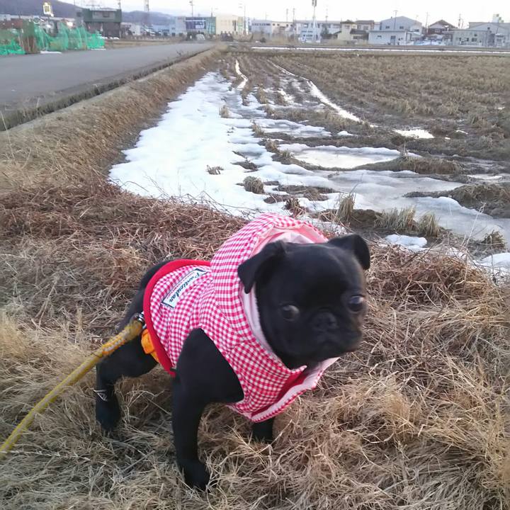 Afbca2bd 6e40 4a22 a9d0 2cd0d769af7e 1519636711748