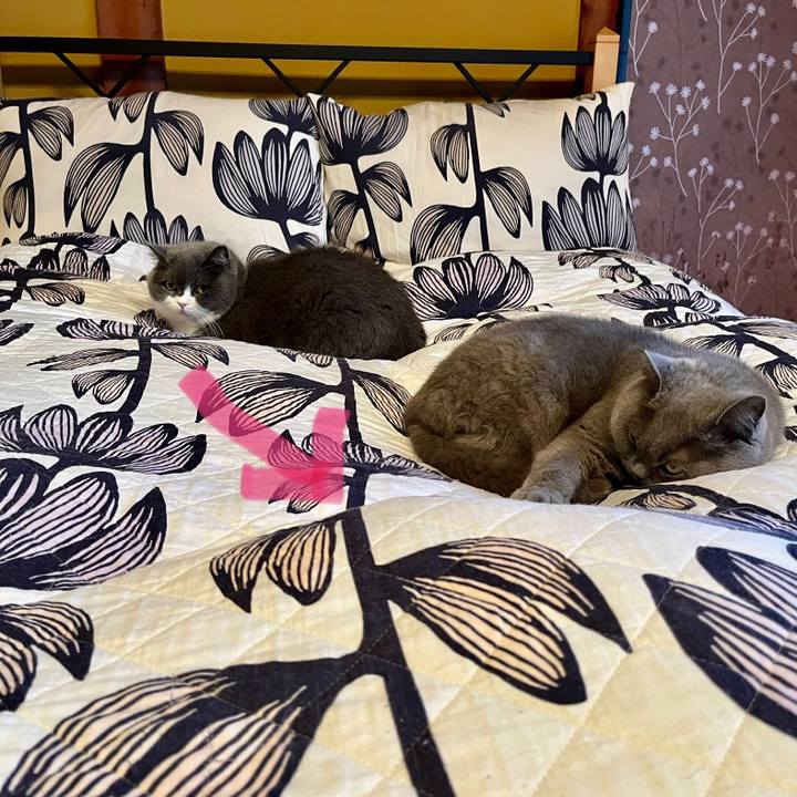 Afbcc7c5 c0f0 43c0 9755 79da466403e5 1645839187534