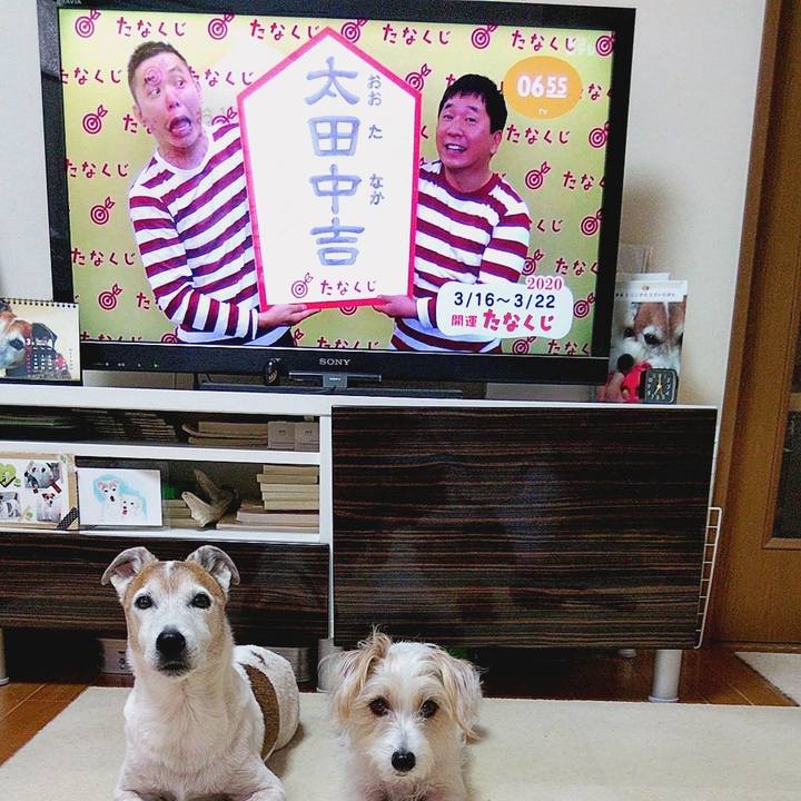 Afbcec9d 89cd 49bf 8ed3 469095a8816a 1584310504443