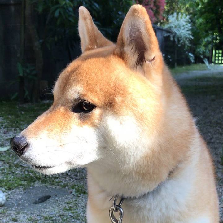 Afbcee43 38e2 4e77 beeb e47b582dff3f 1557042745196