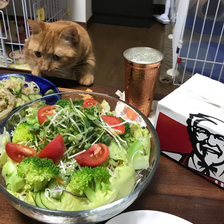 Afbd04bb 4e7d 46cf a63c bca46362e496 1531913951688