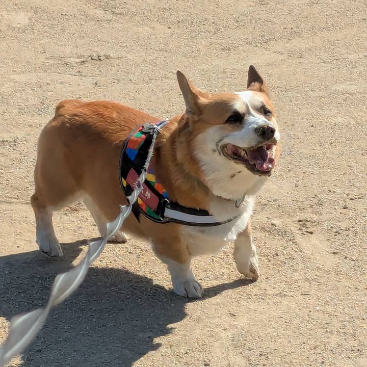 Afbd0d02 b7e0 42de 8a40 7821b8eba4ef 1773199112624