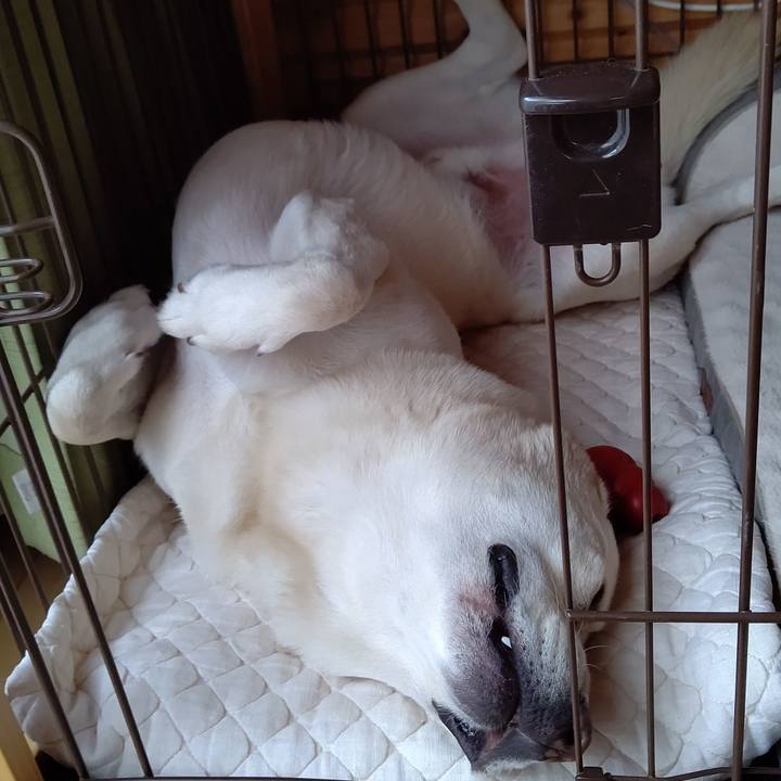 Afbd1539 f8a7 411b b300 180ae22b414d 1593772089429