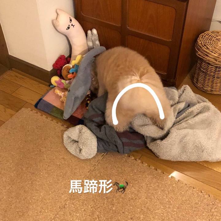 Afbd4529 5128 44e5 b870 69dcd605f8ee 1525944580750