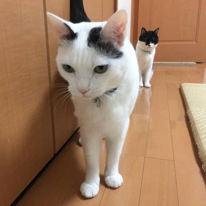 Afbd4b89 5021 40ef a0ed bb122d13cee1 1508893678160