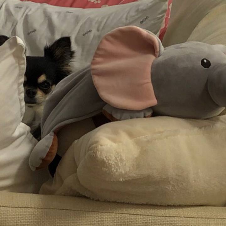 Afbd92a0 a6c1 4f4f b36b 293816702f13 1594944570687