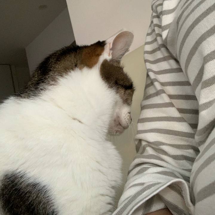 Afbdbcc1 d8de 44f0 924c c60554433cb4 1604870798041