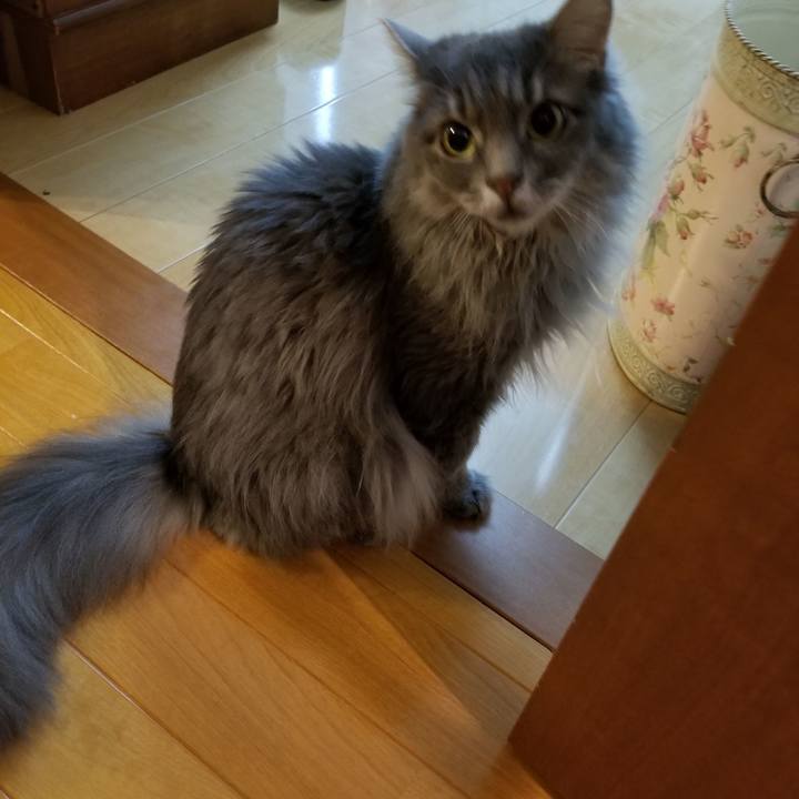 Afbdce38 35dc 444a 98ab ddd49547cd29 1531914040514