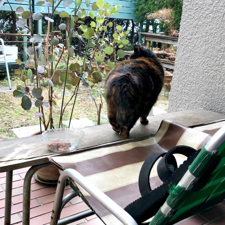 Afbde5c4 ee2a 4ed7 a90a 5cace38f9482 1519114099438