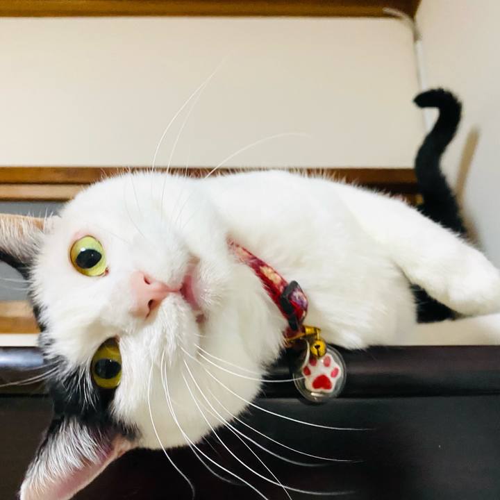 Afbde65a b93b 4d0c 8d48 49d473fac21a 1714309361244