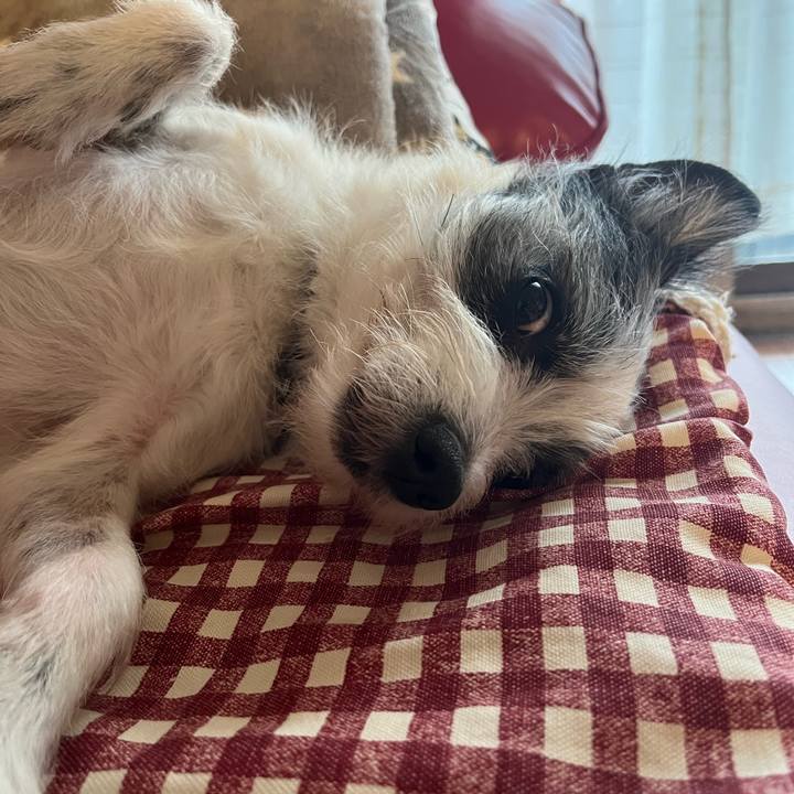 Afbe0012 fc22 418e aff2 9d452e782cff 1756520989256