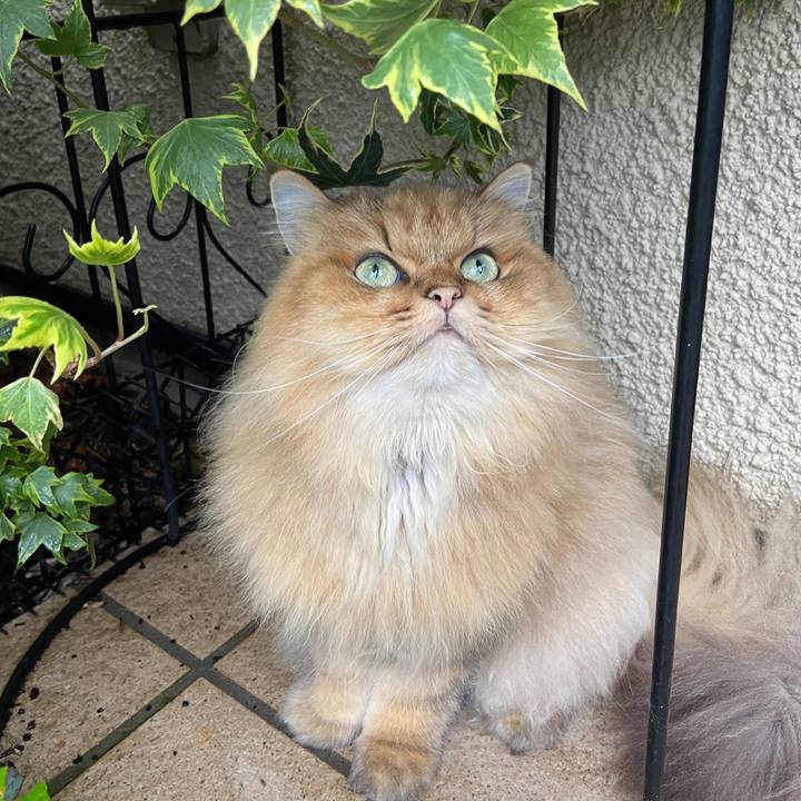 Afbe01aa 67aa 4ffa af00 b9e86d30de0c 1630659655423