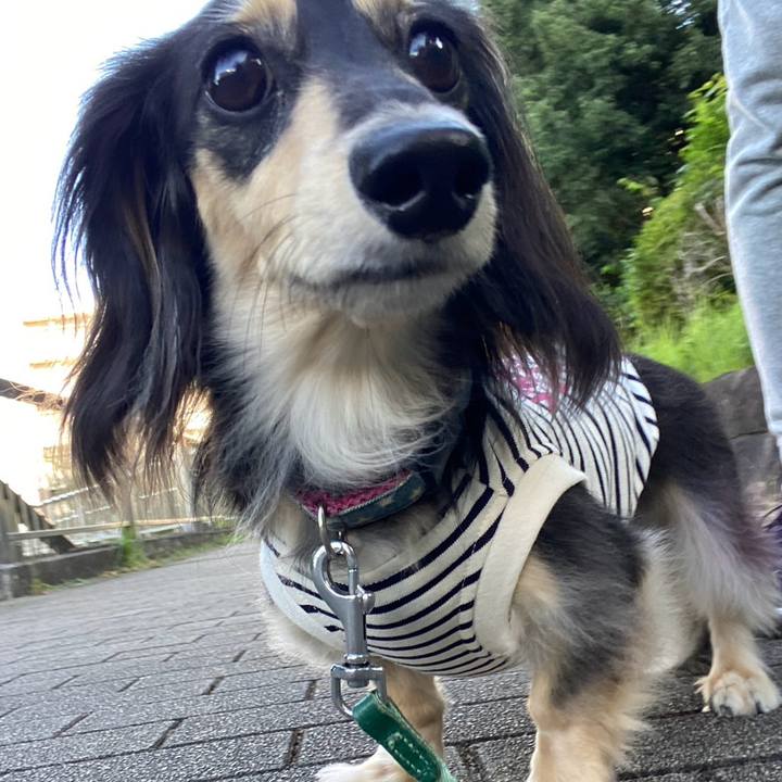 Afbe043d 7ce7 464e a39d b9bbcb4280ad 1759883633030