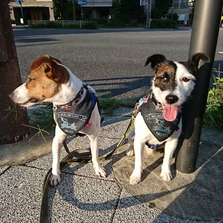 Afbe0ebc 8b51 4940 8e50 589d93832f16 1533850896050