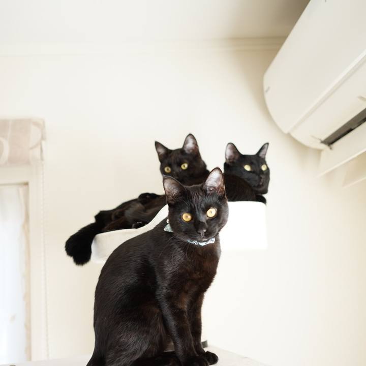 Afbe246c f23d 480c 841f d2974371d7b0 1513225513865