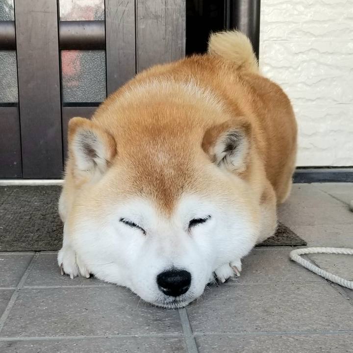 Afbe319a de67 441a bb54 b19416ff7a3d 1654298695120