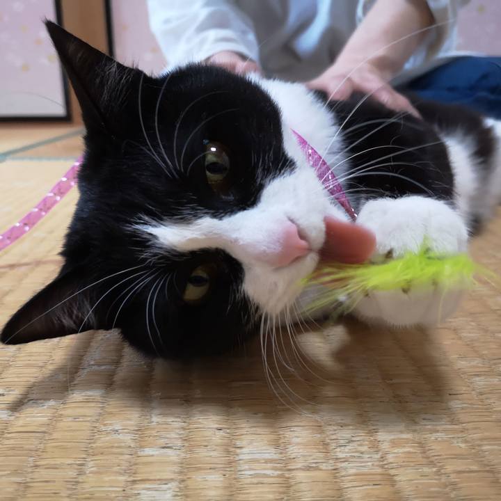 Afbe623c edae 48f7 ab08 b296fce72a12 1589727381155