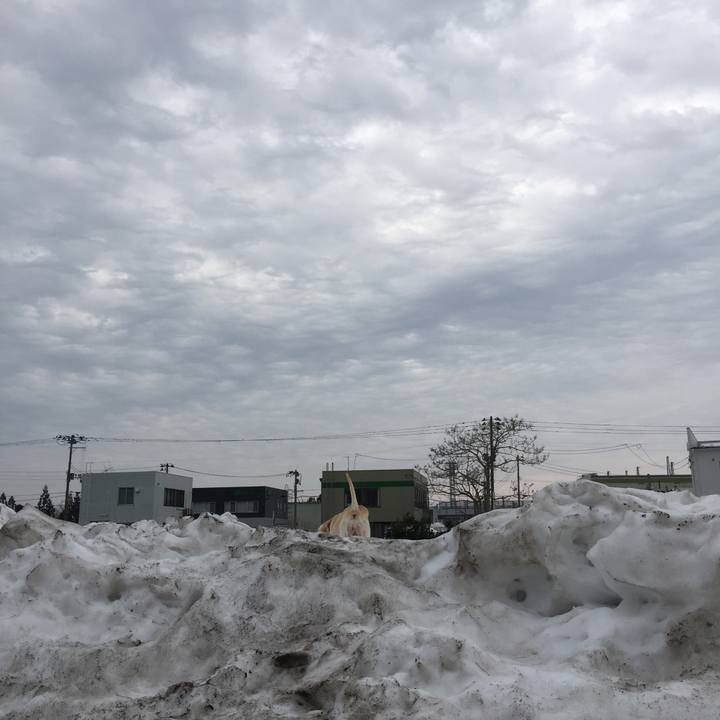 Afbe6768 aaae 470d 8484 366f5059800a 1520205246890