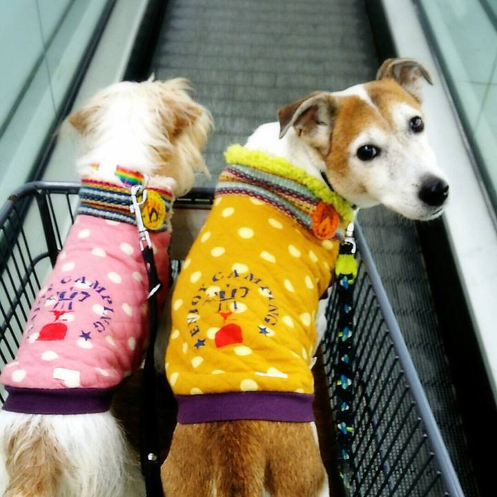 Afbef698 432b 492b 8c38 f6356c845fc0 1516536283318