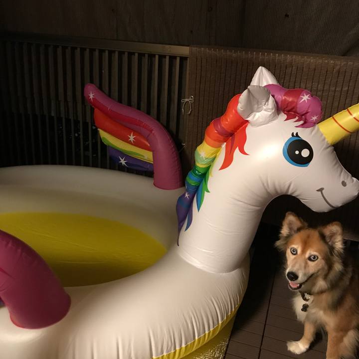 Afbef9dc 92c2 4ac2 9ce7 41520020b981 1596354833528