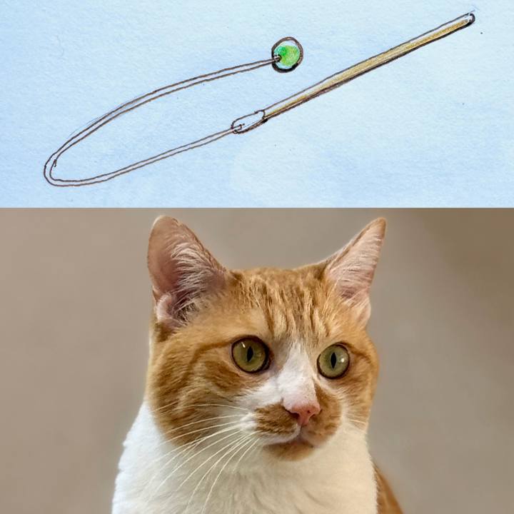 Afbf3428 01e7 4714 955a 2581ac43e648 1763705585769