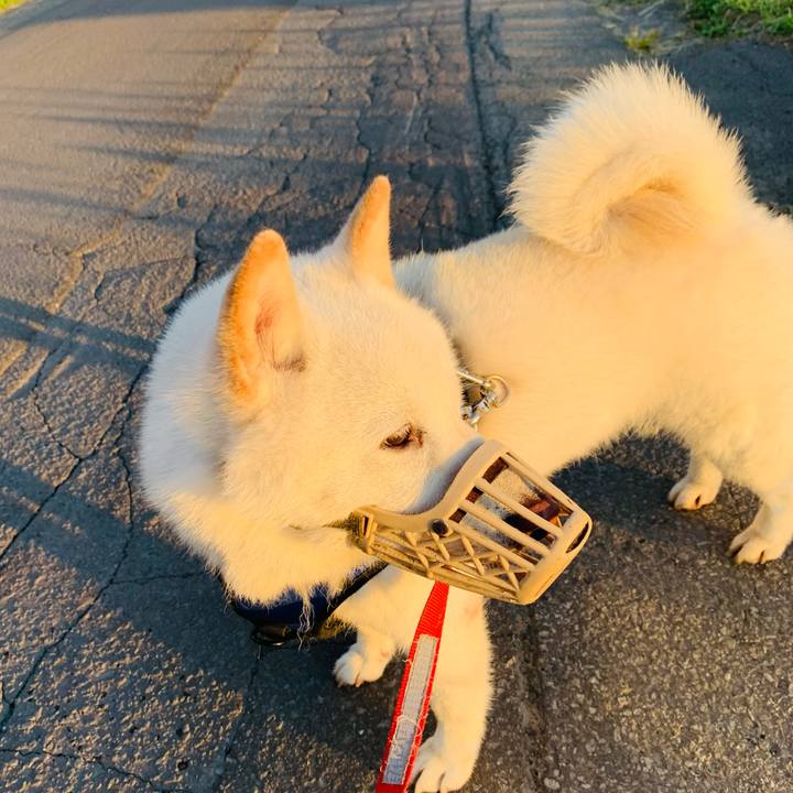 Afbfa253 b12f 43d7 98b7 a680d45d6518 1623616366818