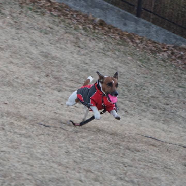 Afbfac75 33bb 48ab 8ea4 43029c9d567c 1515020924613