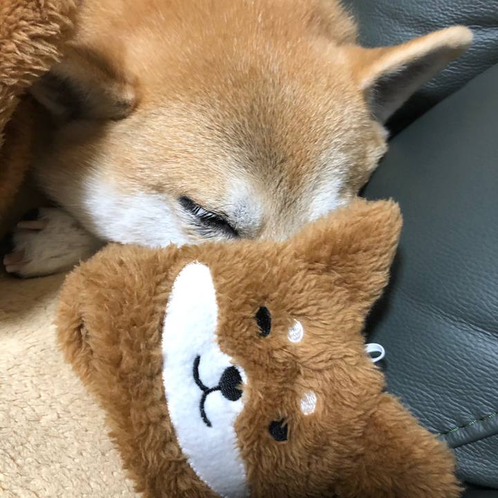 Afbfbdc3 9c7d 43c1 8c1d 50ce16573db0 1575118589060