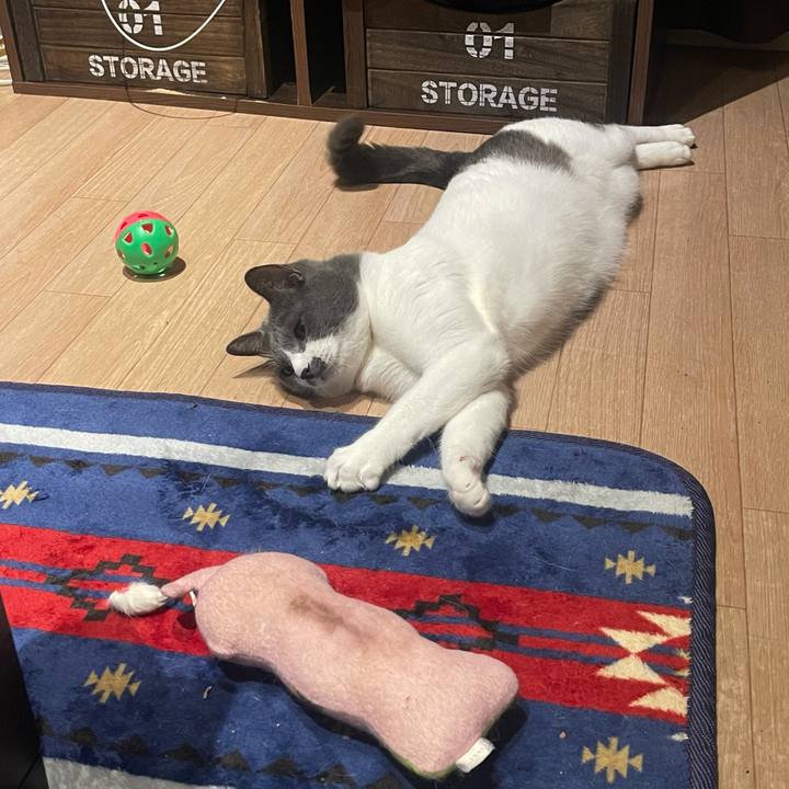 Afbfffd9 29ef 4938 8f74 3f8ea496275d 1625235865978