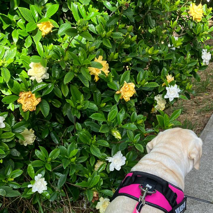 Afc028f0 4a08 440b a0e6 761ce948fd08 1657233578974