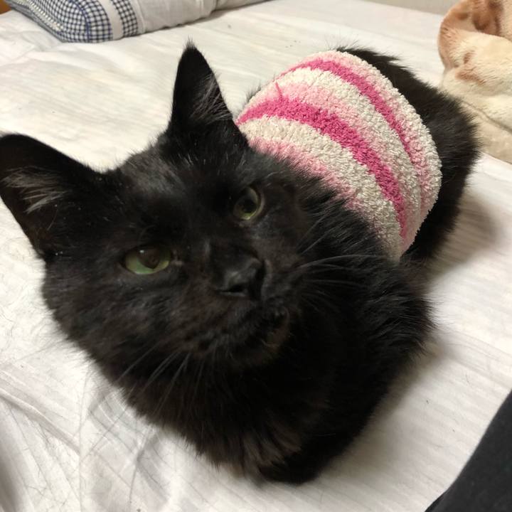 Afc03e23 b309 4e64 adb0 4ab6bdb38fcf 1583331280776