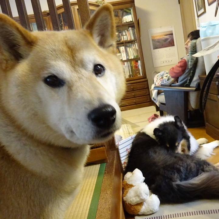 Afc06308 ce29 4c64 8e2d 3bf14a8b1c13 1577793083102