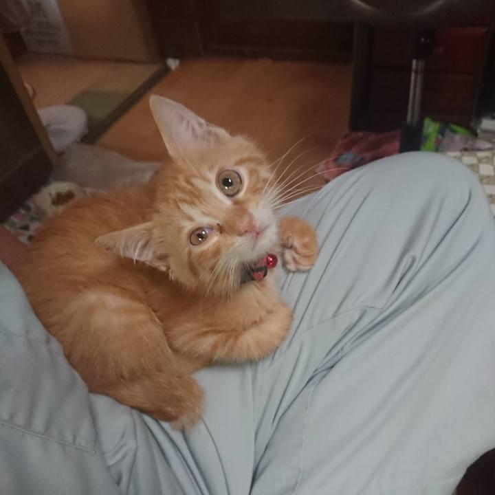 Afc0c62a 3726 4204 bf65 1f53f73efea4 1629152969338