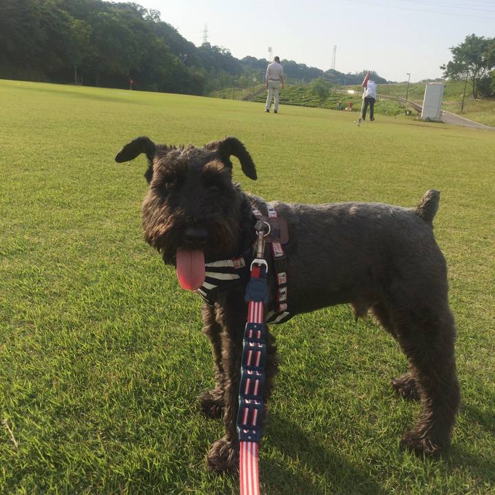 Afc0d675 95ef 4c51 a03b 82522986685a 1527327880729