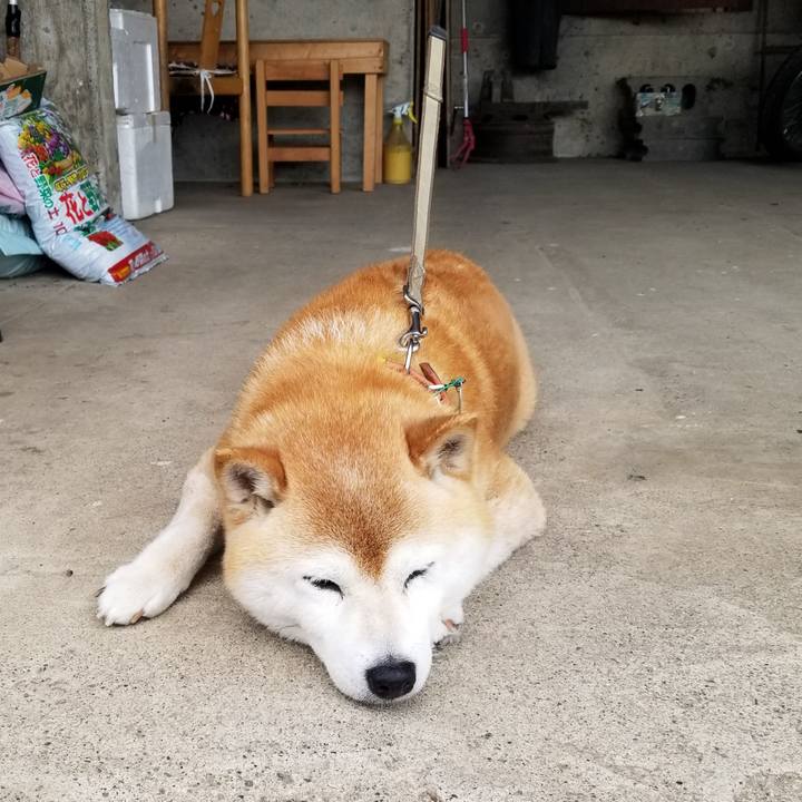 Afc0dbd3 848f 456f ad53 a72b6a7ae901 1686299010348