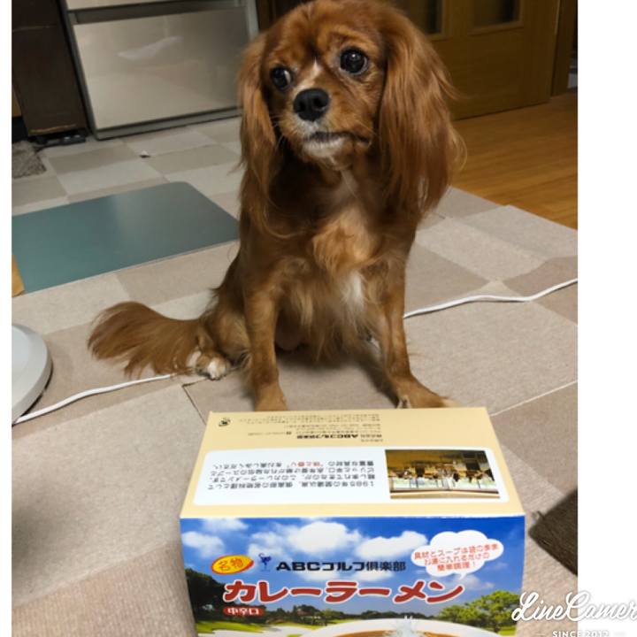 Afc0eea8 5499 4cde 99dd be77e7b470b5 1535712980982