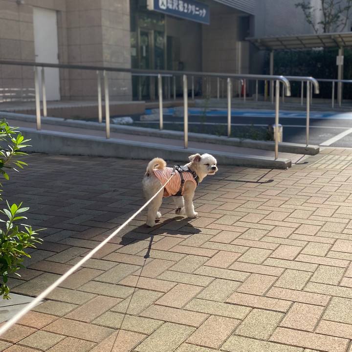 Afc13198 9a24 4e16 ae64 0a50455de9a2 1570936908426