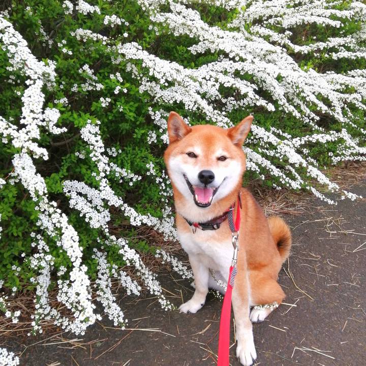 Afc149fd 4092 4b9c 9939 42d31ef46b80 1648690283165