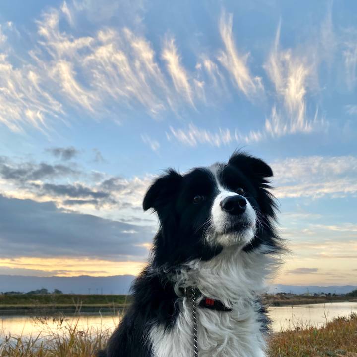 Afc1520f be09 4fc9 aadc 2711f0f63ff5 1608851393256